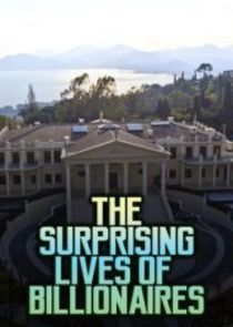 The Surprising Lives of Billionaires poster