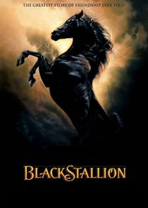 The Adventures of the Black Stallion poster