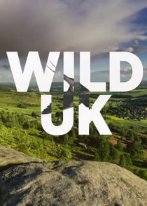 Wild UK poster