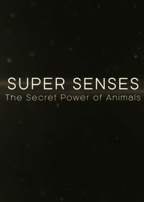 Super Senses: The Secret Power of Animals poster