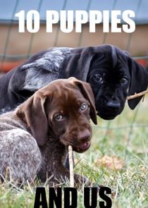 10 Puppies and Us poster