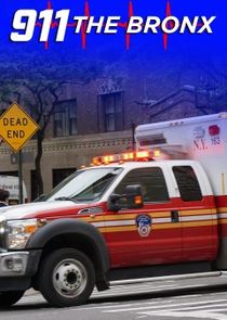 911: The Bronx poster