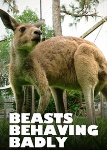 Beasts Behaving Badly poster