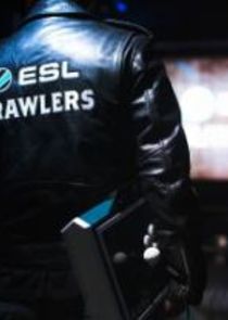 ESL Brawlers poster