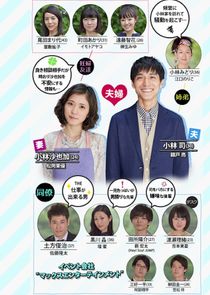 My Loser Husband poster