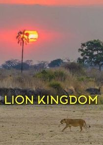 Lion Kingdom poster