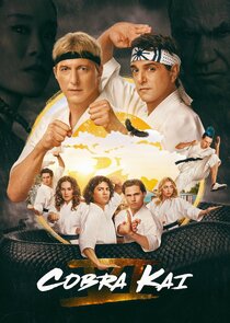 Cobra Kai poster