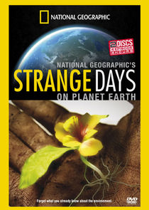 Strange Days on Planet Earth poster
