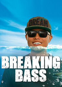 Breaking Bass poster