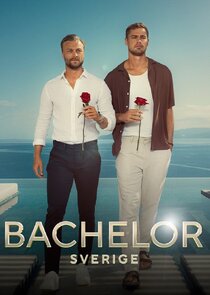 Bachelor Sverige poster