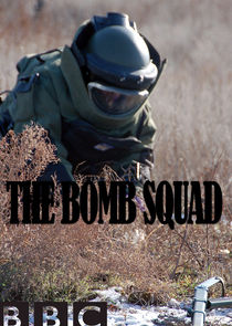 The Bomb Squad poster