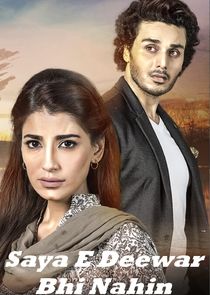 Saya-E-Deewaar Bhi Nahin poster