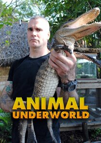 Animal Underworld poster