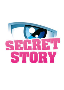 Secret Story poster