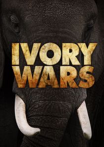 Ivory Wars poster