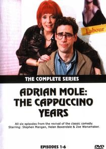 Adrian Mole: The Cappuccino Years poster