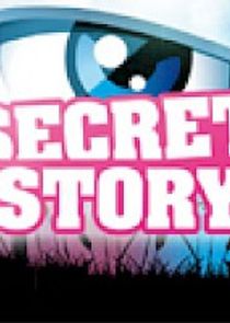 Secret Story poster