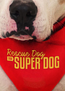 Rescue Dog to Super Dog poster
