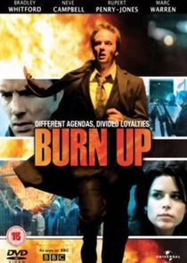 Burn Up poster