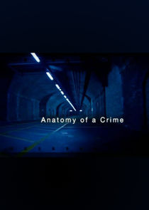 Anatomy of a Crime poster