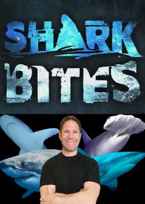 Shark Bites poster