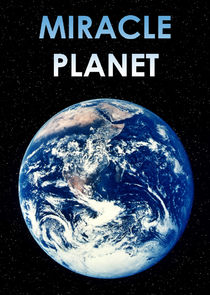 Miracle Planet poster
