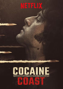 Fariña poster