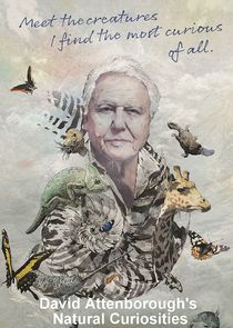 David Attenborough's Natural Curiosities poster