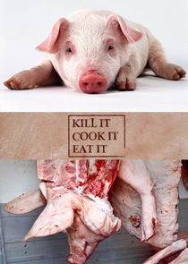 Kill It, Cook It, Eat It poster
