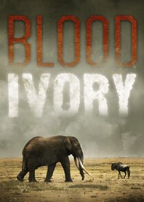 Blood Ivory poster