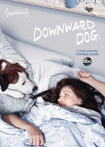 Downward Dog poster