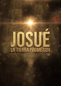 A Terra Prometida poster