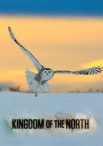Kingdom of the North poster