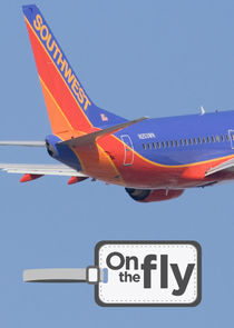 On the Fly poster