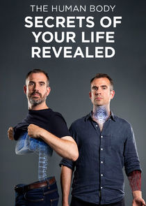 The Human Body: Secrets of Your Life Revealed poster
