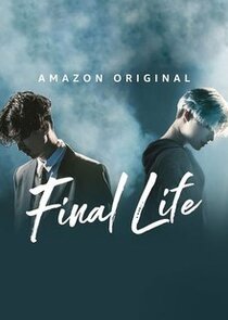 Final Life poster