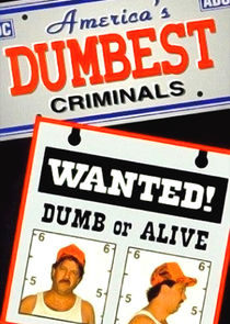 America's Dumbest Criminals poster