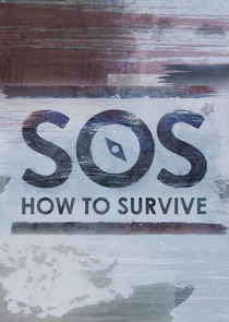 SOS: How to Survive poster