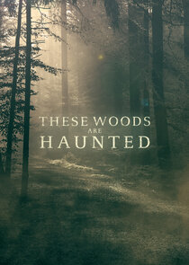 These Woods Are Haunted poster