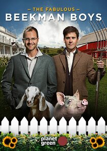 The Fabulous Beekman Boys poster