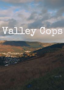 Valley Cops poster