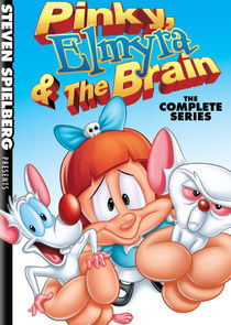Pinky, Elmyra & The Brain poster