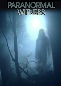 Paranormal Witness poster