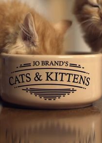 Jo Brand's Cats and Kittens poster