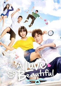 A Love So Beautiful poster