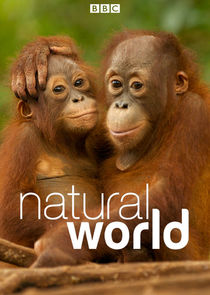 Natural World poster