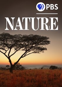 Nature poster
