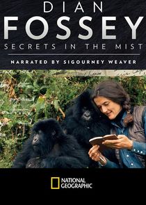 Dian Fossey: Secrets in the Mist poster