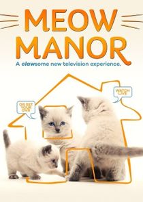 Meow Manor poster