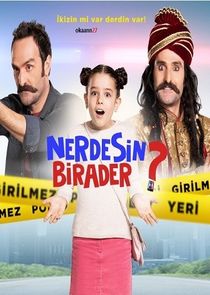 Nerdesin Birader poster